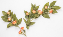 flower-cta-206x120.webp