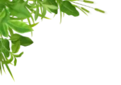 engineering-ai-cta-171x120.webp