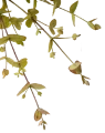 hr-technical-consulting-plant-cta-95x120.webp